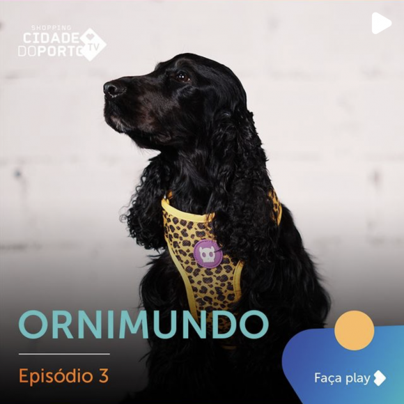 ornimundo_shopping_cidade_porto