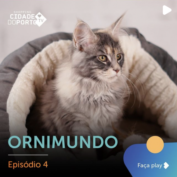 ornimundo_shopping_cidade_do_porto