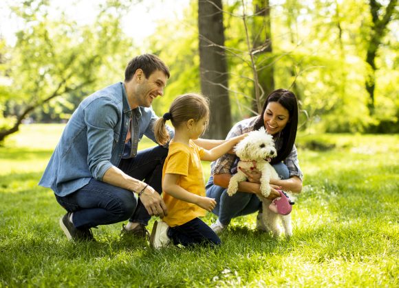 Beautiful happy family is having fun with bichon dog outdoors
