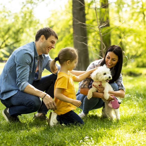 Beautiful happy family is having fun with bichon dog outdoors
