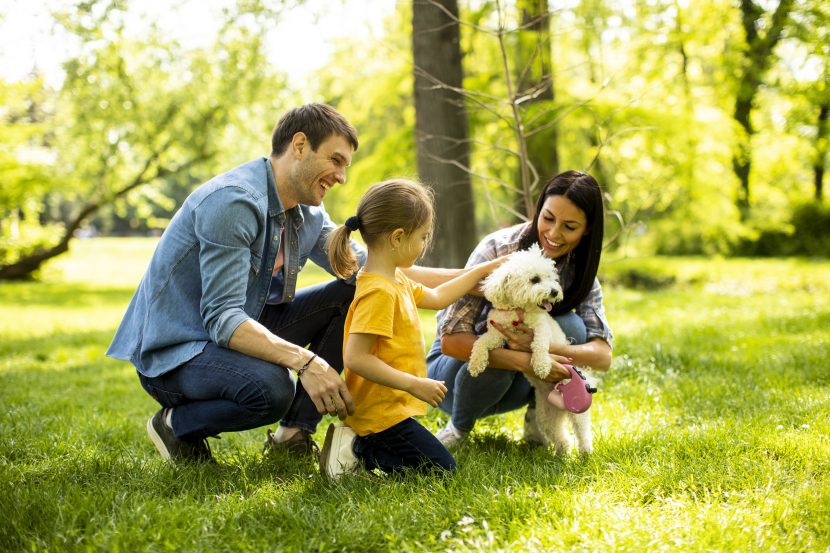 Beautiful happy family is having fun with bichon dog outdoors